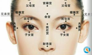 福相是什么樣子，福相的有什么特征？