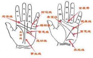 手相怎么看愛情，哪種手相的人不懂浪漫？