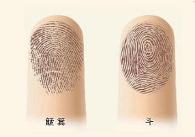 根據(jù)指紋，為你算命，解密手指頭下的人生秘密