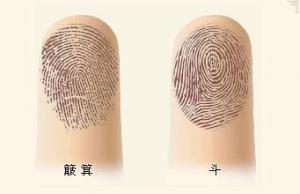 兩位緣主，提供指紋樣式，算一下他們的命理運(yùn)勢(shì)