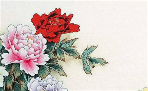 招財招桃花的手機(jī)號 怎么選手機(jī)號碼旺自己
