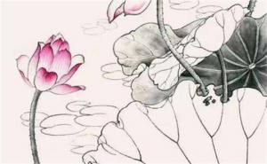 最招財(cái)?shù)臄?shù)字1到81 號(hào)碼運(yùn)勢(shì)查詢(xún)手機(jī)號(hào)碼