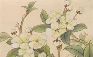 易經(jīng)中最好的三個(gè)數(shù)字 電話(huà)號(hào)碼選什么數(shù)字好財(cái)運(yùn)