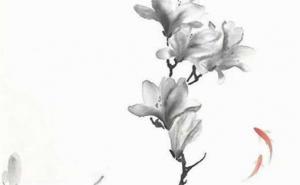 數(shù)字能量號(hào)碼查詢(xún)表 手機(jī)號(hào)碼測(cè)吉兇超準(zhǔn)免費(fèi)