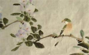 吸財守財?shù)?位數(shù)字組合 帶財帶貴人的手機號
