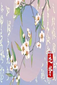 2024年星座運(yùn)勢(shì)排行榜：哪些星座將迎來(lái)運(yùn)勢(shì)巔峰？
