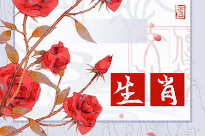 哪個(gè)生肖最傻最天真，腦子轉(zhuǎn)不過(guò)彎來(lái)
