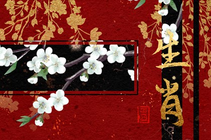 6月學(xué)習(xí)運(yùn)最好的生肖2024年 ?；⒑镉型鸢耦}名
