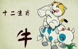屬牛2024年整體運(yùn)勢(shì)，屬牛2024年的運(yùn)勢(shì)及運(yùn)程！
