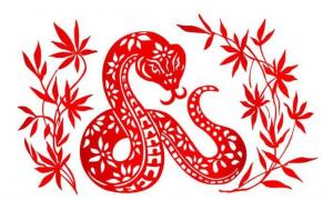 屬蛇2024年整體運(yùn)勢(shì)，屬蛇2024年的運(yùn)勢(shì)及運(yùn)程！