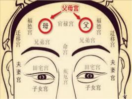 日月角突出的面相，日月角突出必為貴人