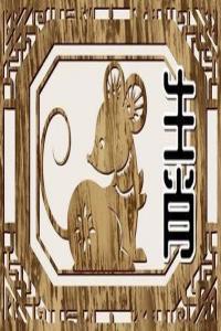96年屬鼠的是什么命，五行屬什么？