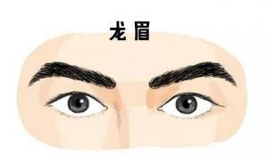 龍眉的男人命運(yùn)，男人龍眉面相！