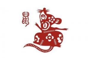 屬鼠人2024年全年運勢運程，屬鼠人2024年每月運勢運程！