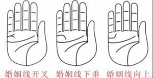 婚姻線分叉代表什么，婚姻線分叉是什么意思？