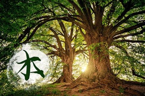 五行缺木怎么補(bǔ)的常規(guī)方式是什么？