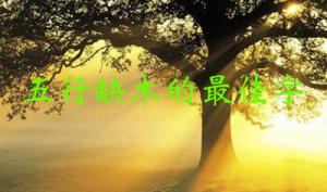 五行缺木的最佳字，五行缺木屬性的字大全！