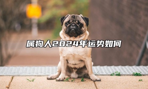 屬狗人2024年全年運(yùn)勢運(yùn)程，屬狗人2024年每月運(yùn)勢及運(yùn)程詳解！