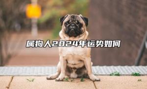 屬狗人2024年全年運勢運程，屬狗人2024年每月運勢及運程詳解！