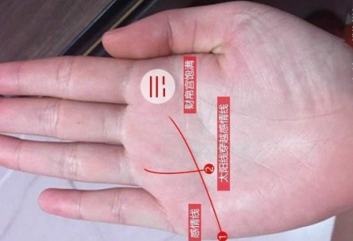 無(wú)名指下面的豎線(xiàn)代表什么