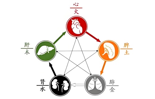 五行內(nèi)臟對照表，五行內(nèi)臟對應(yīng)關(guān)系！