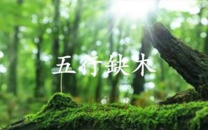 五行缺木的人婚姻怎么樣？