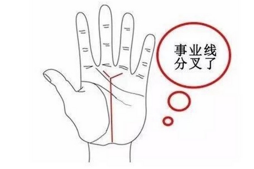 事業(yè)線(xiàn)有分叉是什么意思