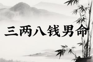 三兩八錢(qián)男命詳細(xì)解釋一生