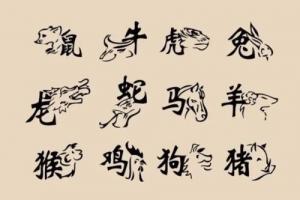 一等命的五個(gè)生肖是什么