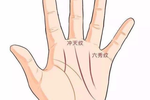 霸王線和三奇紋區(qū)別？