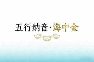 八字納音五行解析海中金
