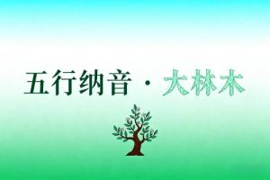 八字納音五行解析大林木