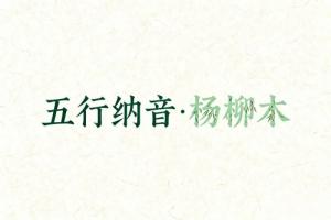 八字納音五行解析楊柳木